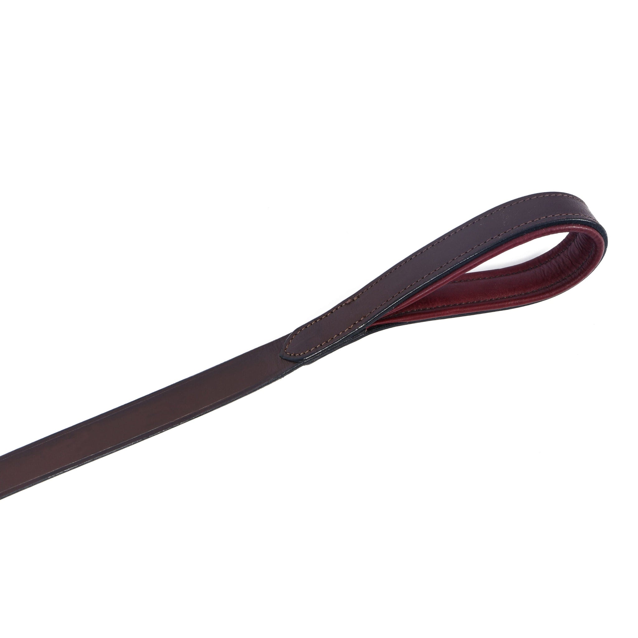 Horsher Paws Dog Leash Tangerine