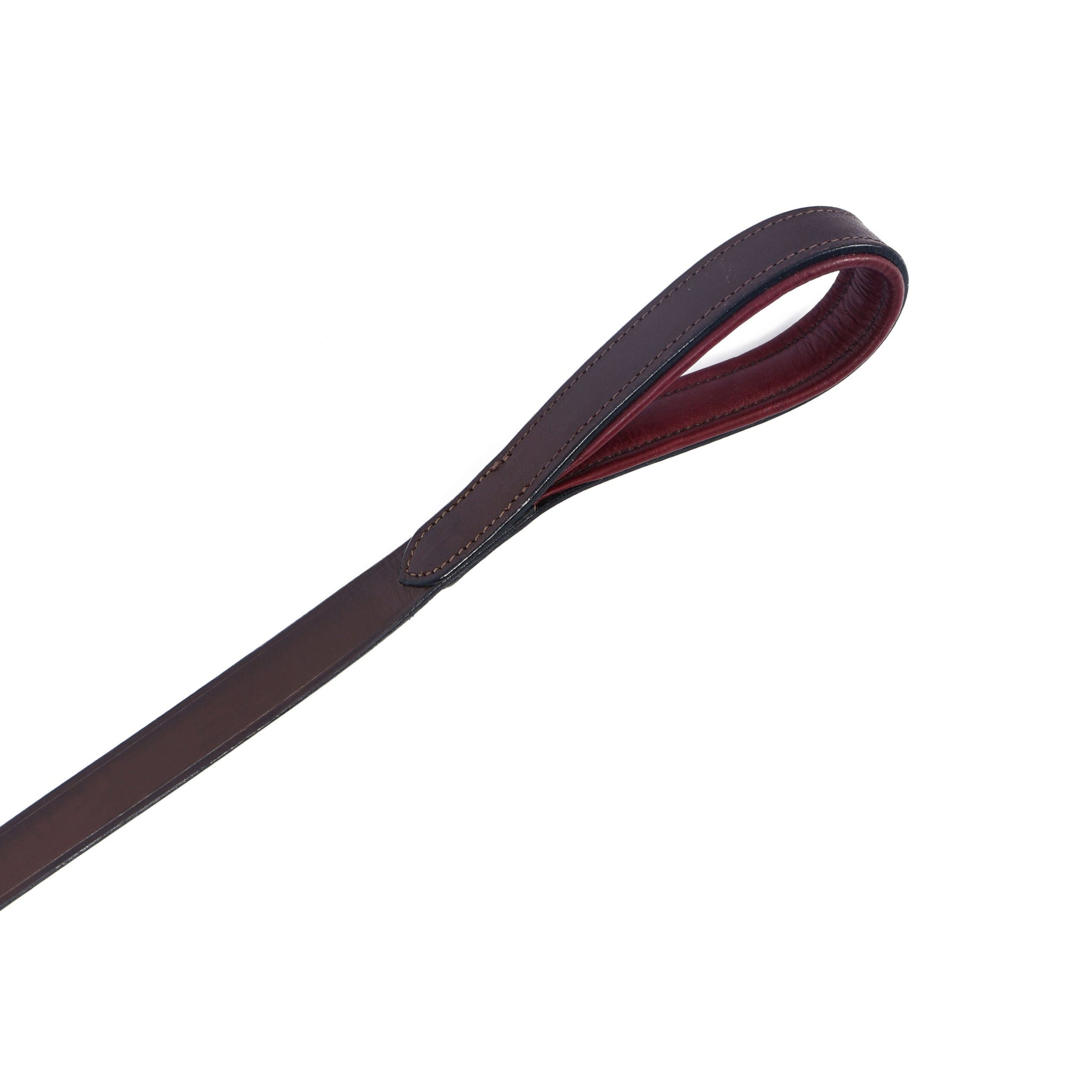 Horsher Paws Dog Leash Shooting Stars