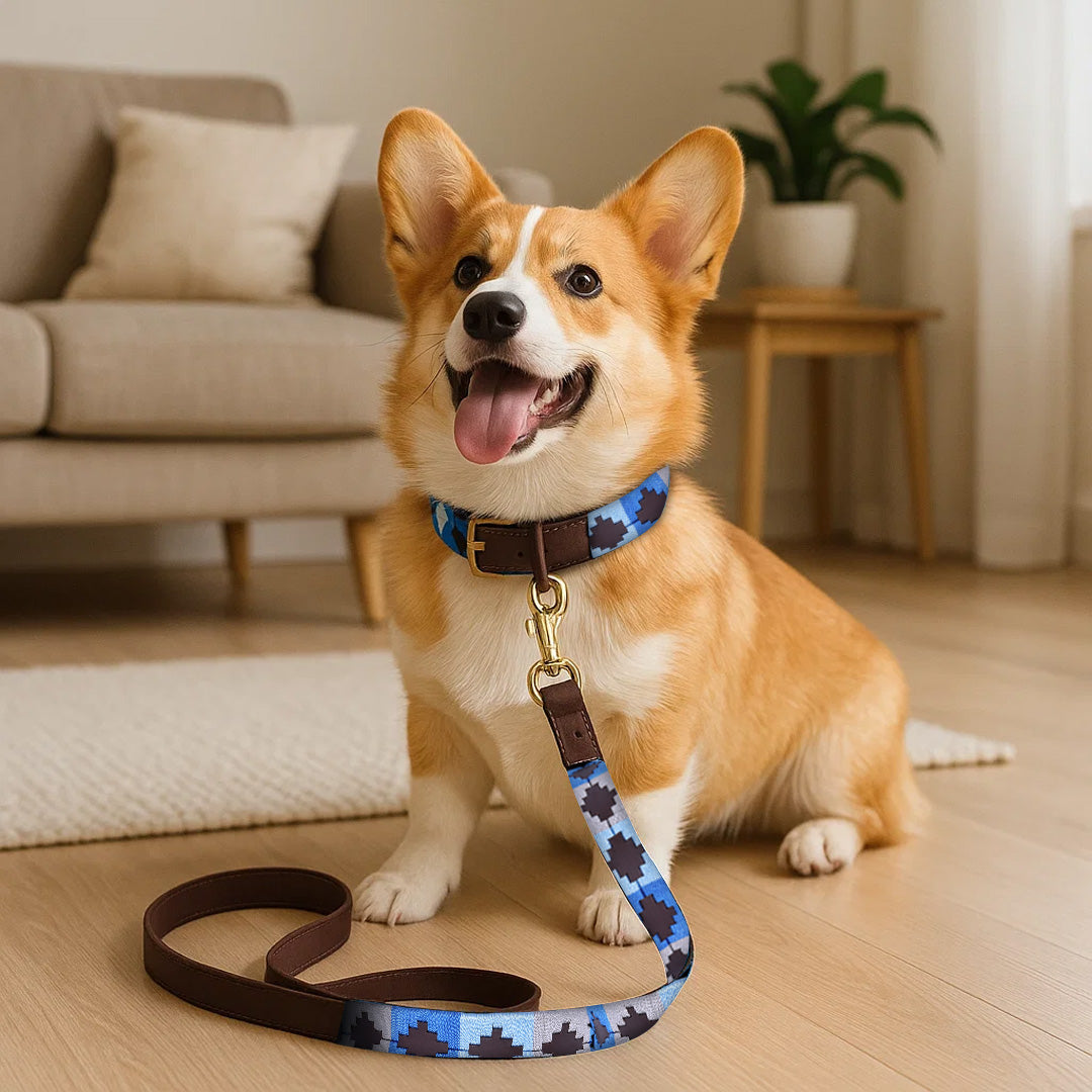 Horsher Paws Azure Combo