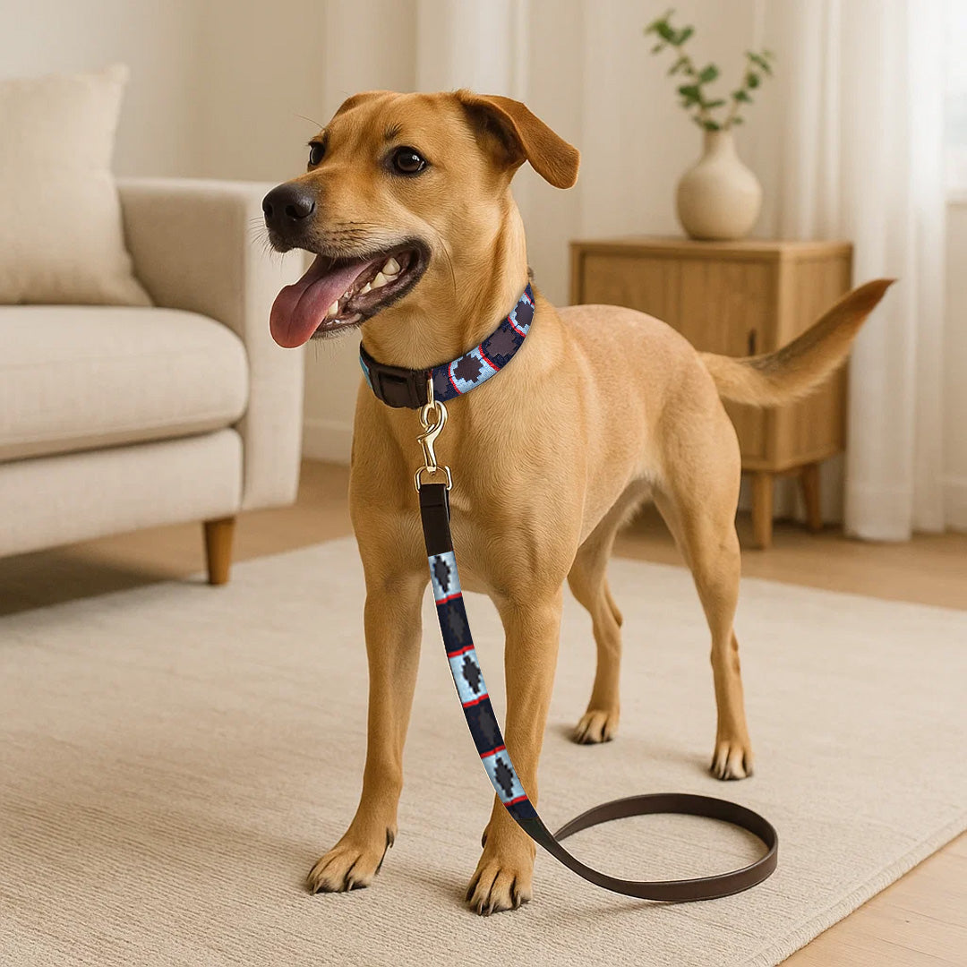 Horsher Paws Shooting Stars Combo